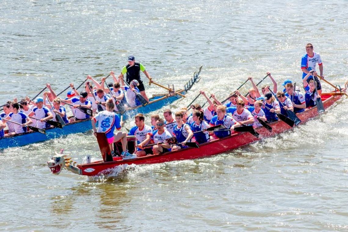 Smocze łodzie na Nogacie Smocze łodzie na Nogacie