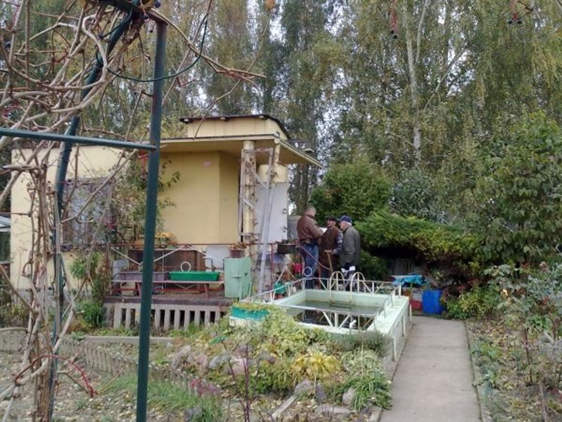 Splądrowali 14 altan! Policja ujęła trójkę włamywaczy Splądrowali 14 altan! Policja ujęła trójkę włamywaczy