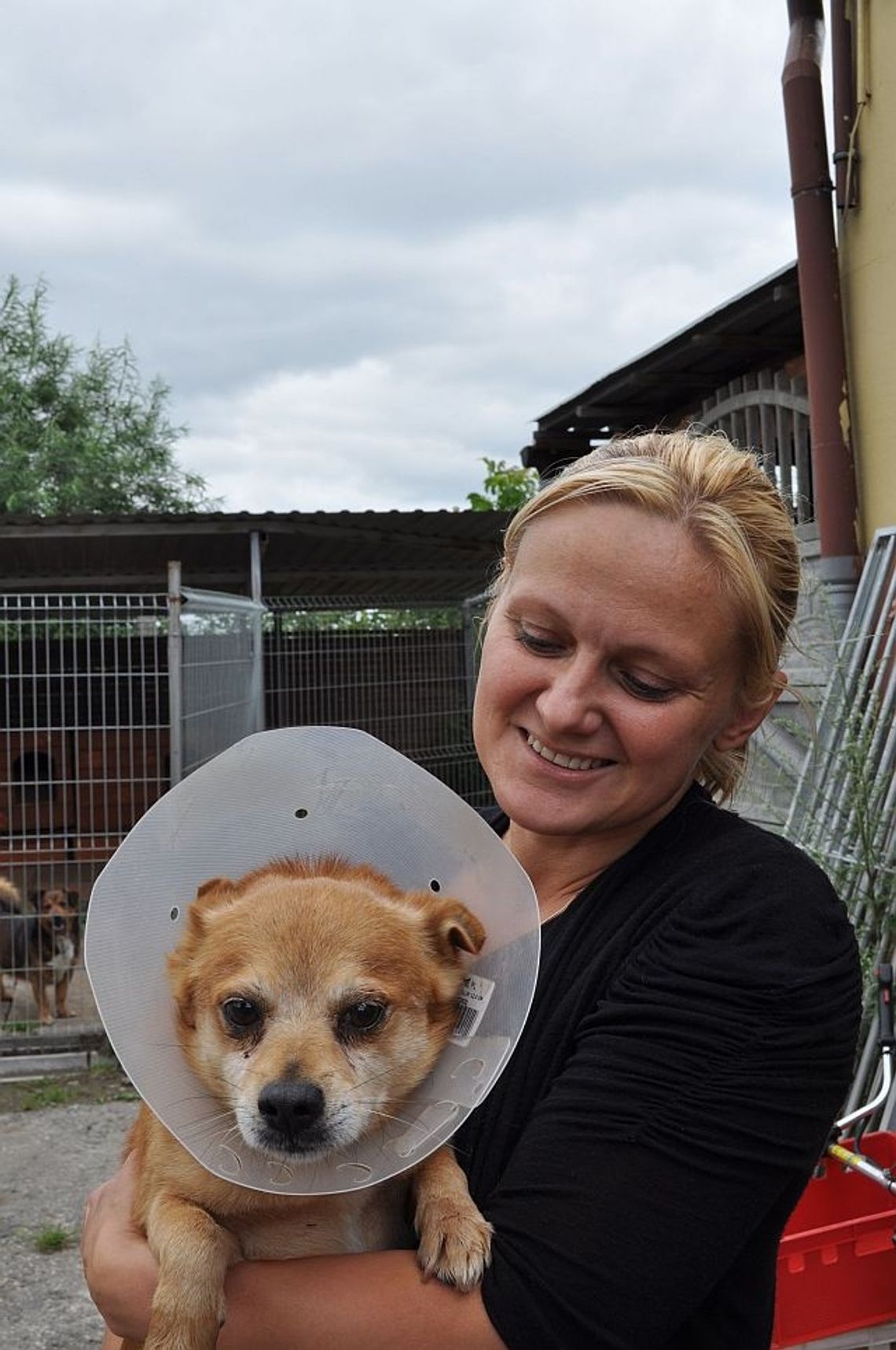 Spójrz psu w oczy, zanim go porzucisz Spójrz psu w oczy, zanim go porzucisz