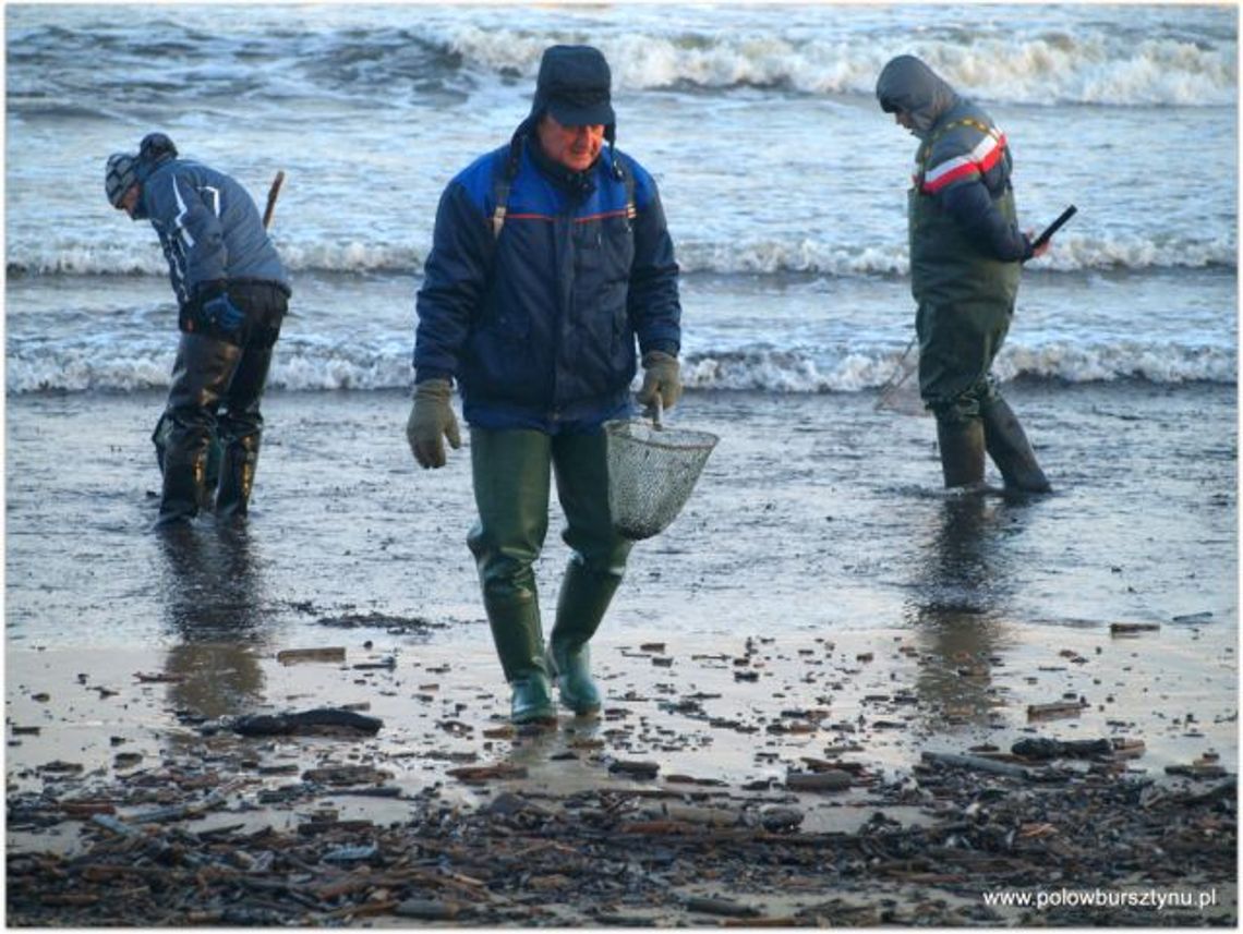 Spotkania z historią i przyrodą Wyspy Sobieszewskiej