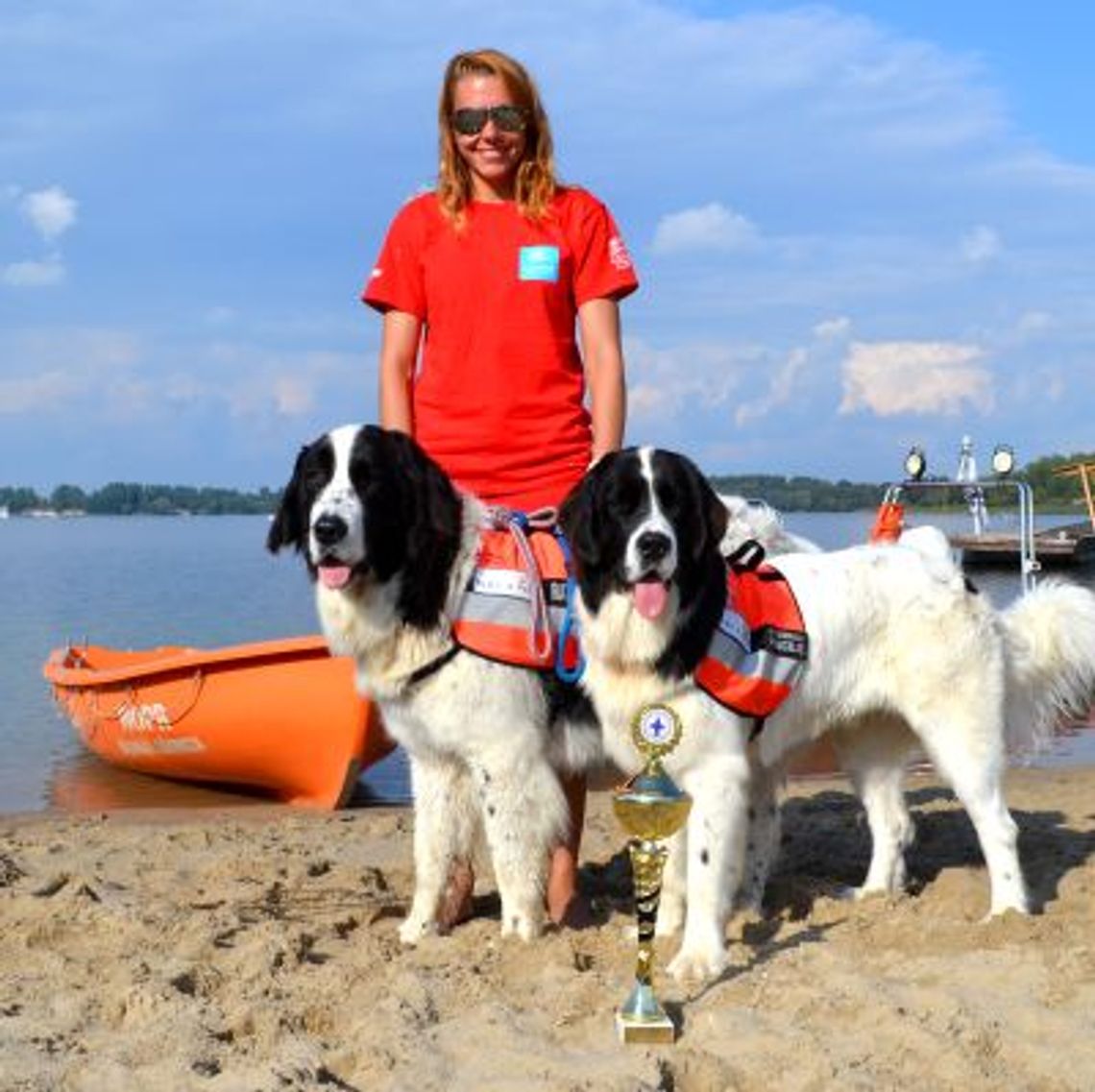 Sprawdź jak pracują psy ratownicze Sprawdź jak pracują psy ratownicze