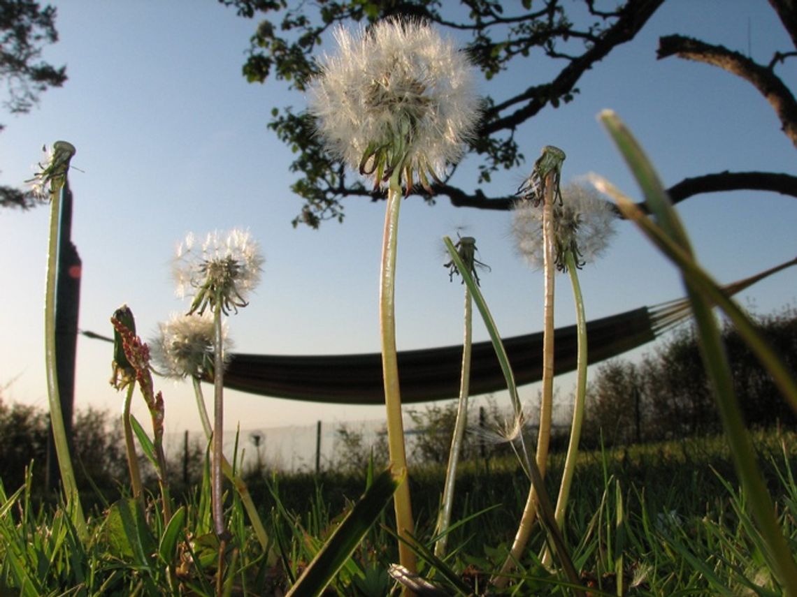 Sprawdź, kiedy będziesz miał wolne! Kalendarz na nowy rok szkolny 2011/2012 Sprawdź, kiedy będziesz miał wolne! Kalendarz na nowy rok szkolny 2011/2012