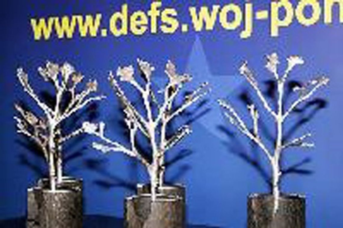 „Srebrne Drzewka” dla pracowników pomocy społecznej