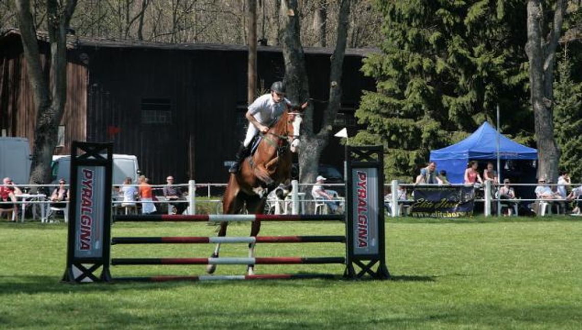 Stado do likwidacji?! Co dalej ze starogardzkim Stadem Ogierów? 