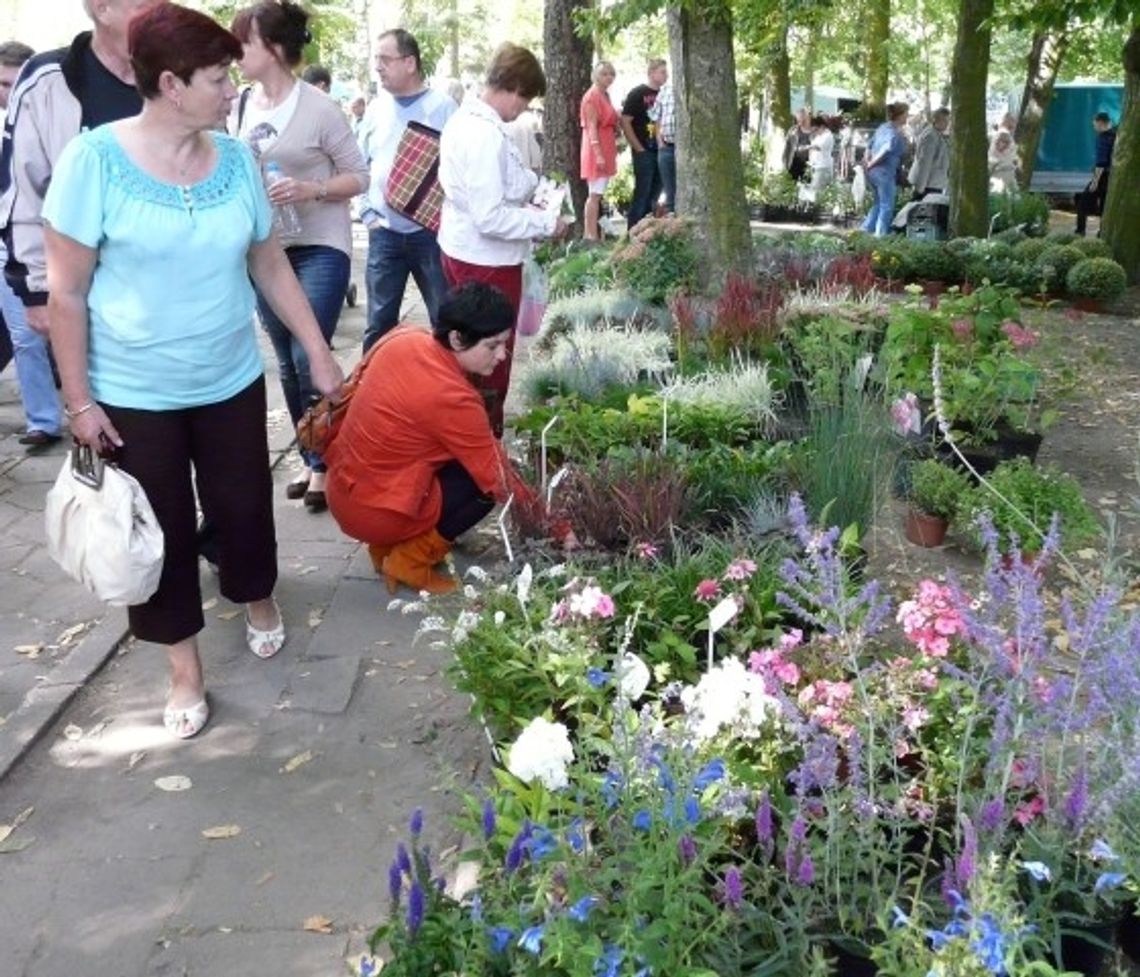 Staropolskie jesienne targi po raz dwudziesty Staropolskie jesienne targi po raz dwudziesty