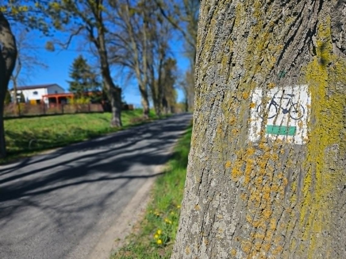 Startuje Rowerowa Stolica Polski 2026 Startuje Rowerowa Stolica Polski 2026