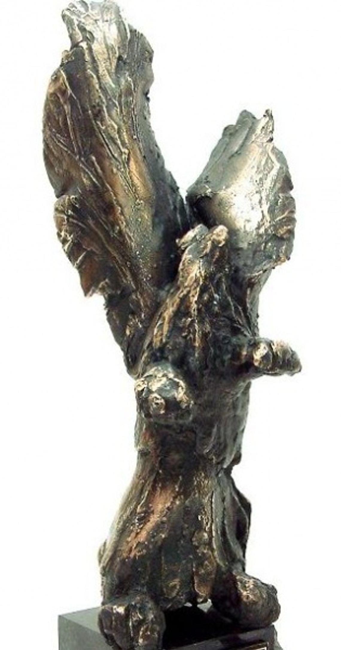 Statuetki "Gryfa Gospodarczego" wręczone Statuetki "Gryfa Gospodarczego" wręczone