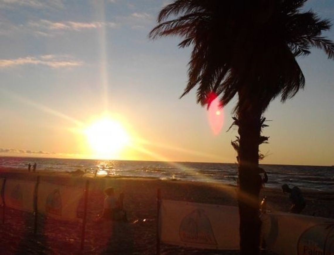 Stegna w dziesiątce najciekawszych miejsc