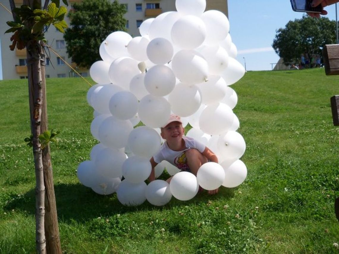 Stopili lody Antarktydy. Wyprawa Dookoła świata minęła półmetek Stopili lody Antarktydy. Wyprawa Dookoła świata minęła półmetek