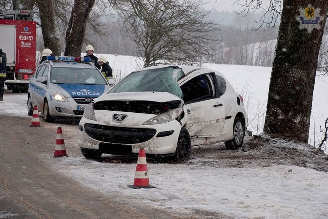 Straciła panowanie nad pojazdem i uderzyła w drzewo