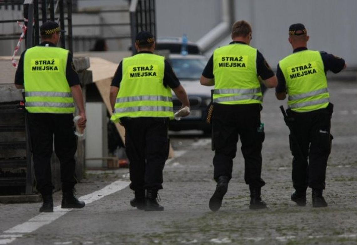 Straszak dla wandali i chuliganów Straszak dla wandali i chuliganów