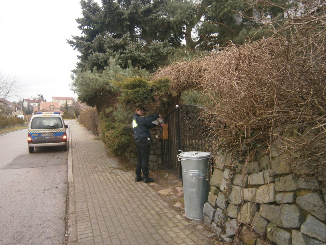 Straż Miejska bez litości dla trucicieli! Straż Miejska bez litości dla trucicieli!
