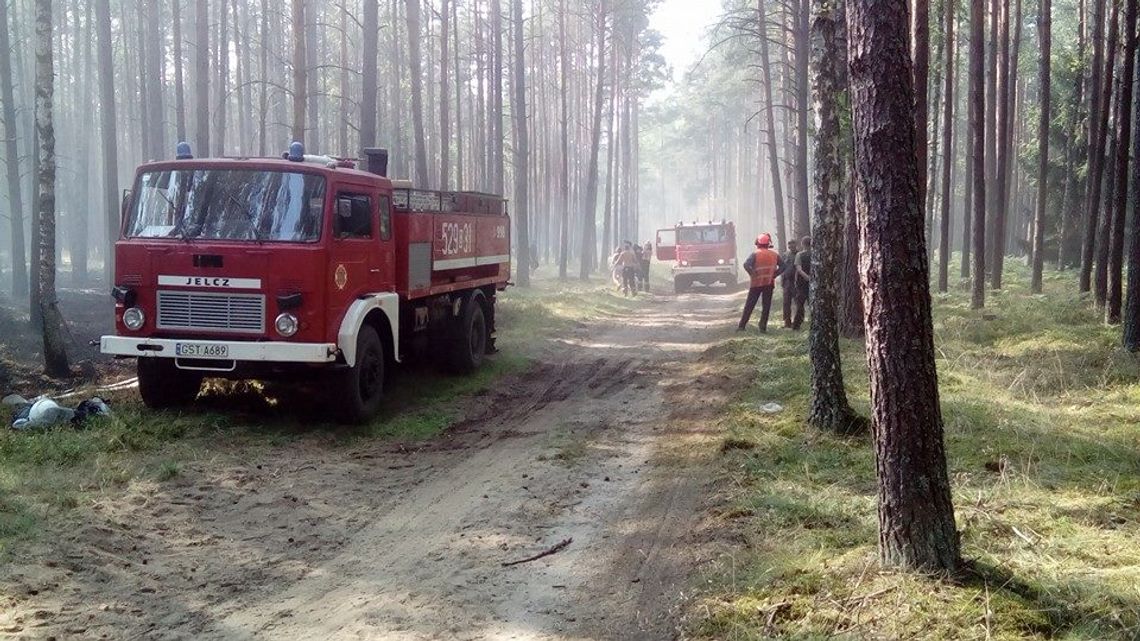 Straż pożarna z ośmiu jednostek gasiła wielki pożar lasu! Straż pożarna z ośmiu jednostek gasiła wielki pożar lasu!