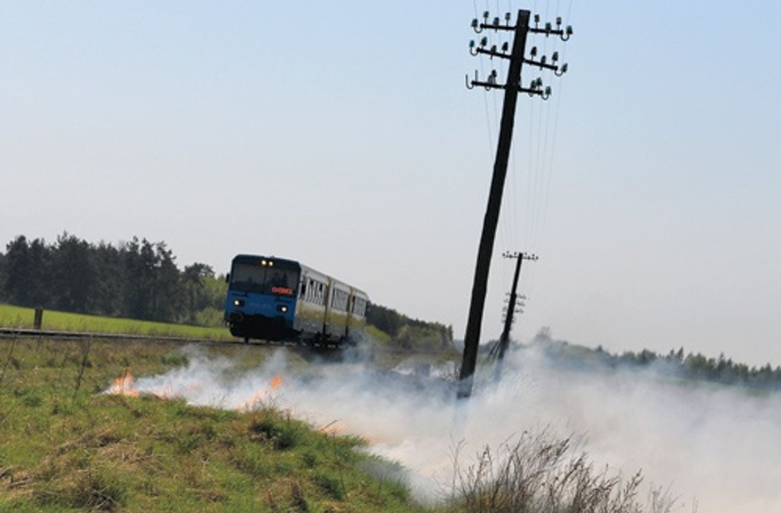 Strażacy obawiają się długiego weekendu. Uważajmy, jest bardzo sucho Strażacy obawiają się długiego weekendu. Uważajmy, jest bardzo sucho