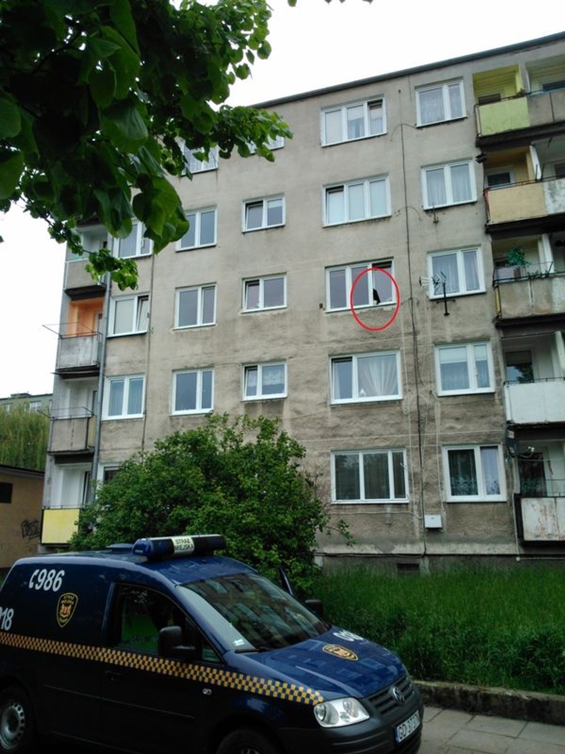 Strażnicy zaskoczeni nietypową sytuacją Strażnicy zaskoczeni nietypową sytuacją