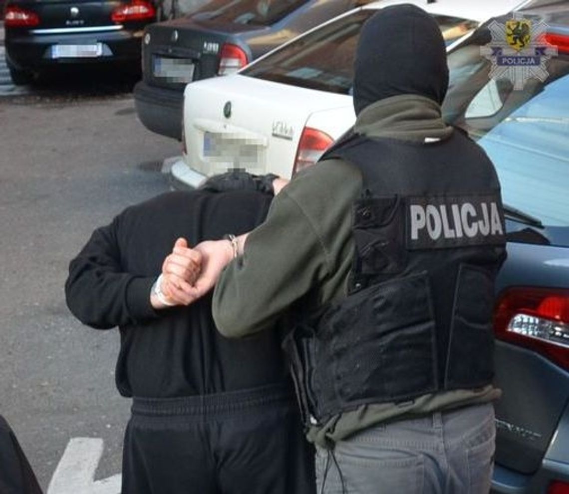 Sutener ujęty. Korzyść z nierządnych "domówek" Sutener ujęty. Korzyść z nierządnych "domówek"