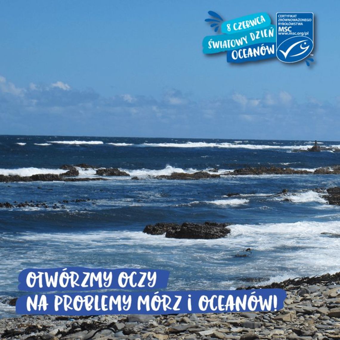 Światowy Dzień Oceanów na Helu i Gdyni
