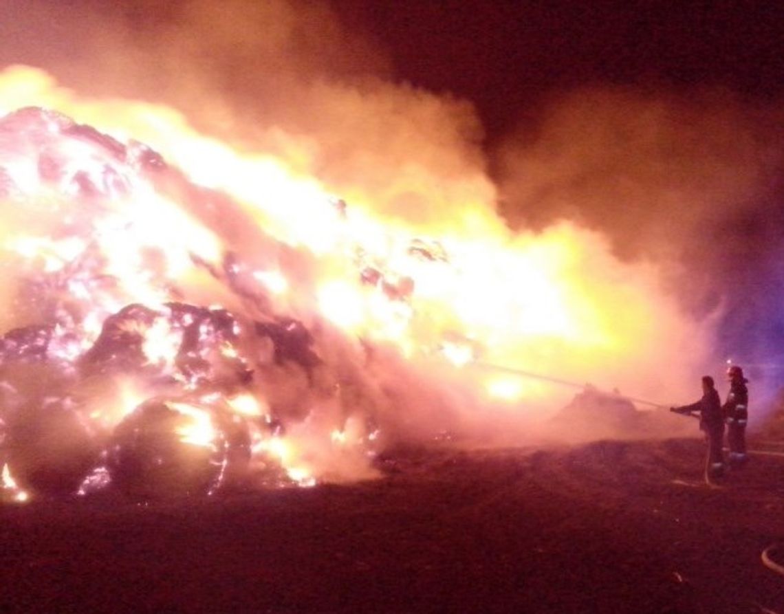 Szaleniec z zapalniczką terroryzuje gminę! Rolnicy w strachu Szaleniec z zapalniczką terroryzuje gminę! Rolnicy w strachu