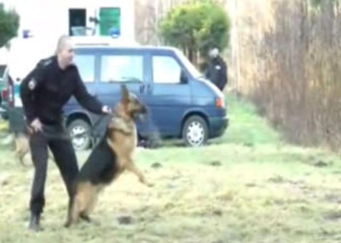 Szkolenie przewodników psów służbowych Szkolenie przewodników psów służbowych