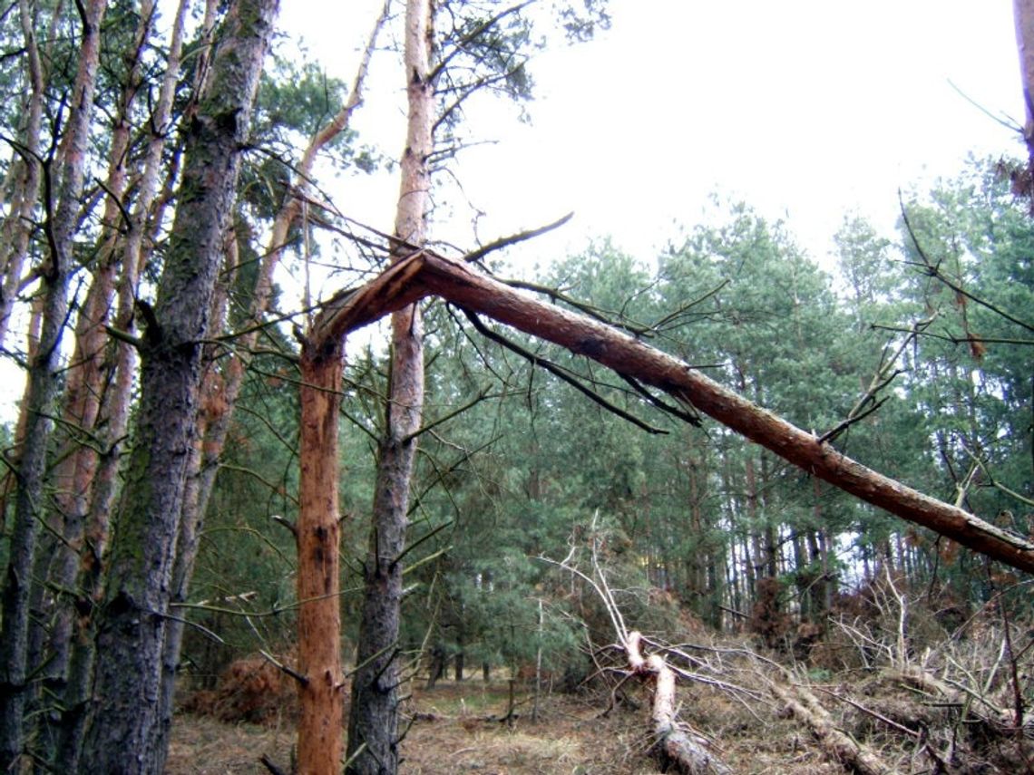 Sztorm na Bałtyku, załoga dryfującego jachtu uratowana