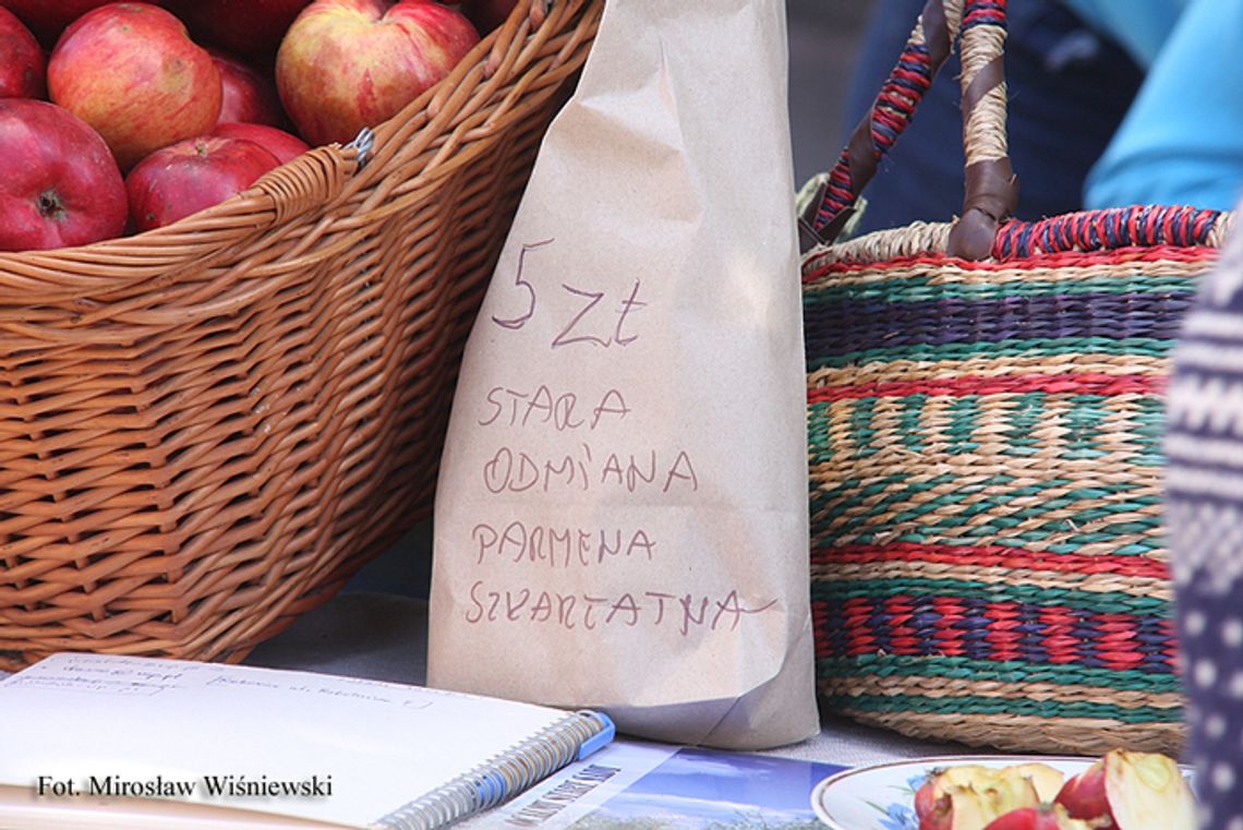 Szukają przedwojennych drzew owocowych Szukają przedwojennych drzew owocowych