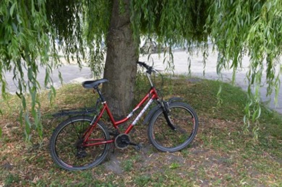 Szukają właściciela roweru