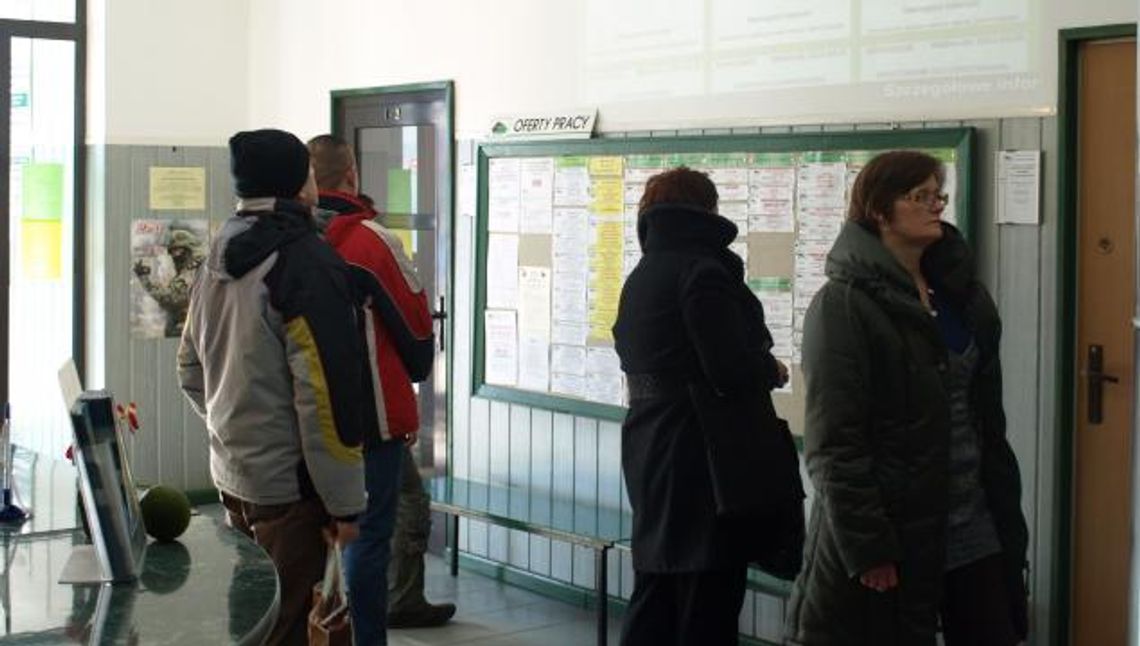 Szukasz pracy? Sprawdź najnowsze oferty z PUP Szukasz pracy? Sprawdź najnowsze oferty z PUP