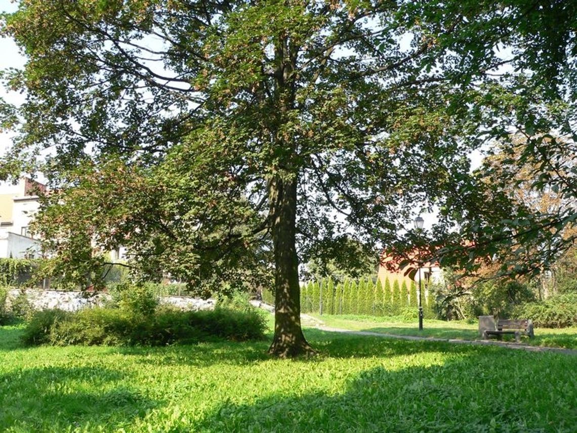 Tajemnice zwłok pomorskich więzień