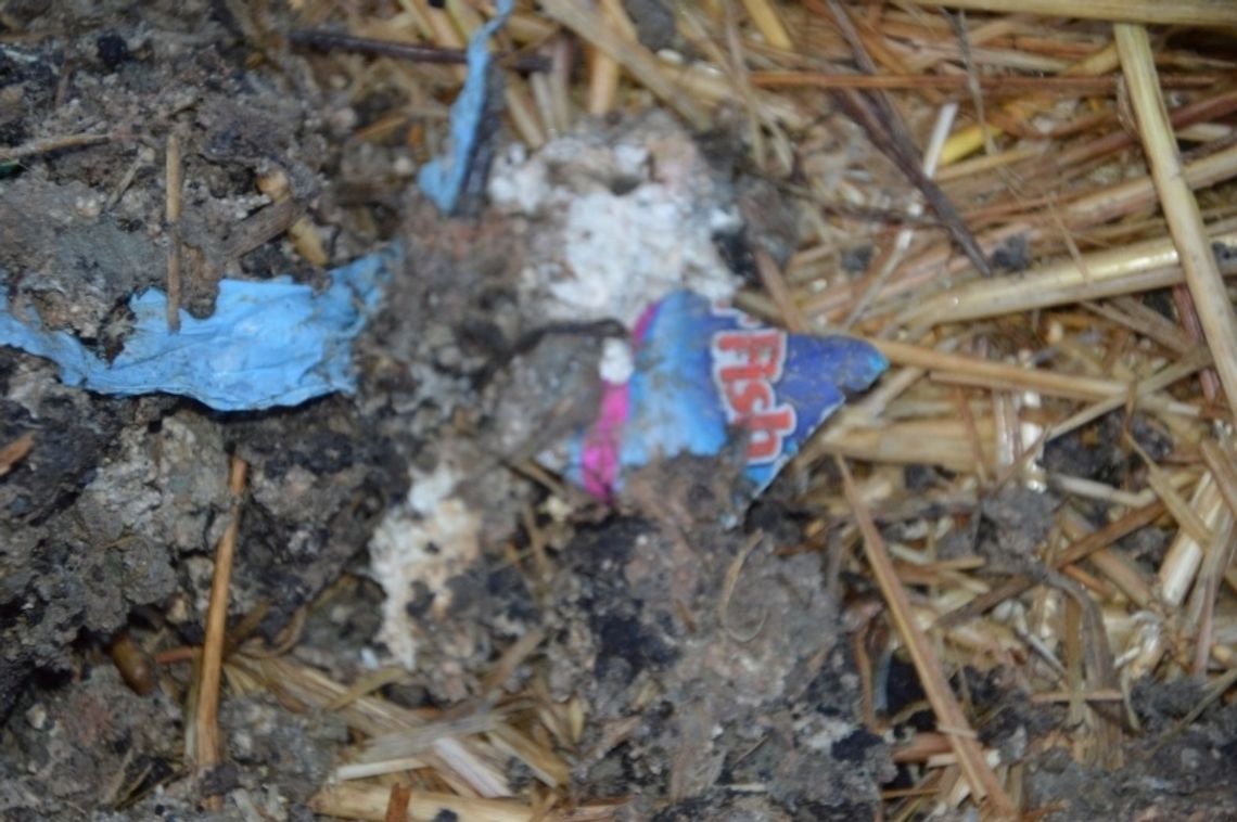 Tajemnicze „odpady” na jednym z pól? Tajemnicze „odpady” na jednym z pól?