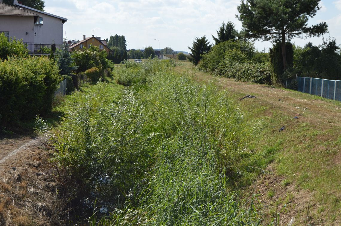 Tak wygląda Kanał Młyński. Zamiast wody, krzaki, fotele, opony... Tak wygląda Kanał Młyński. Zamiast wody, krzaki, fotele, opony...