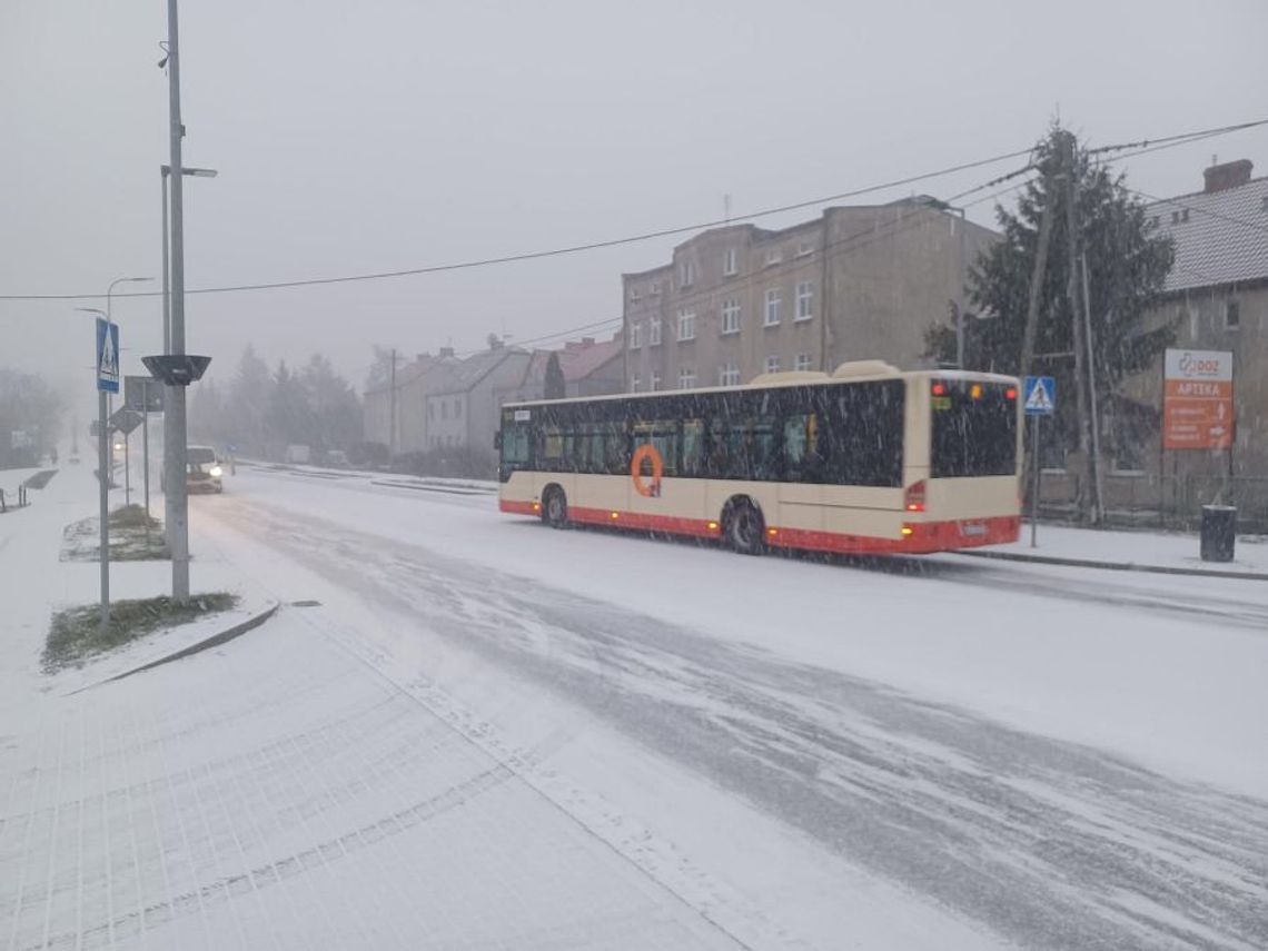 Tczew ogłosił przetarg na zakup 10 autobusów elektrycznych. W ruch pójdą miliony z Polskiego Ładu