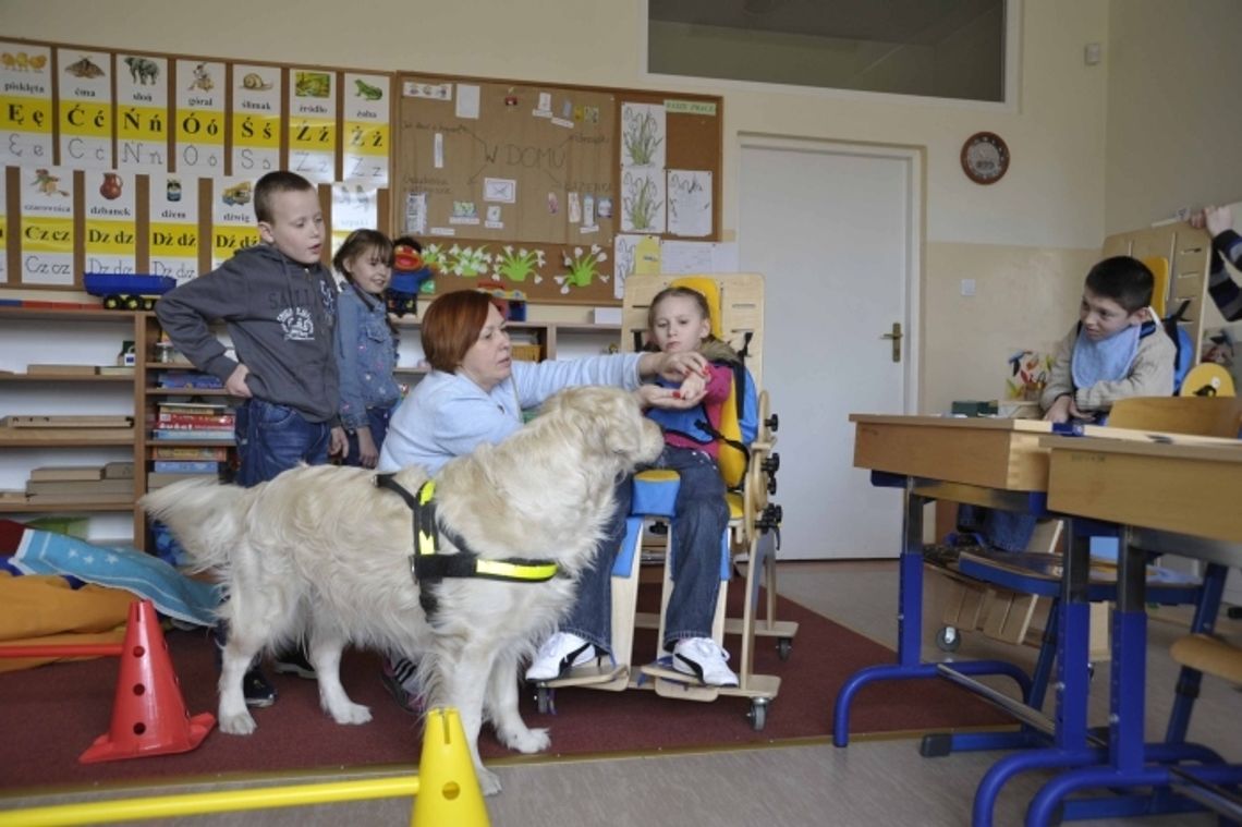 Terapia z milusińskimi Terapia z milusińskimi