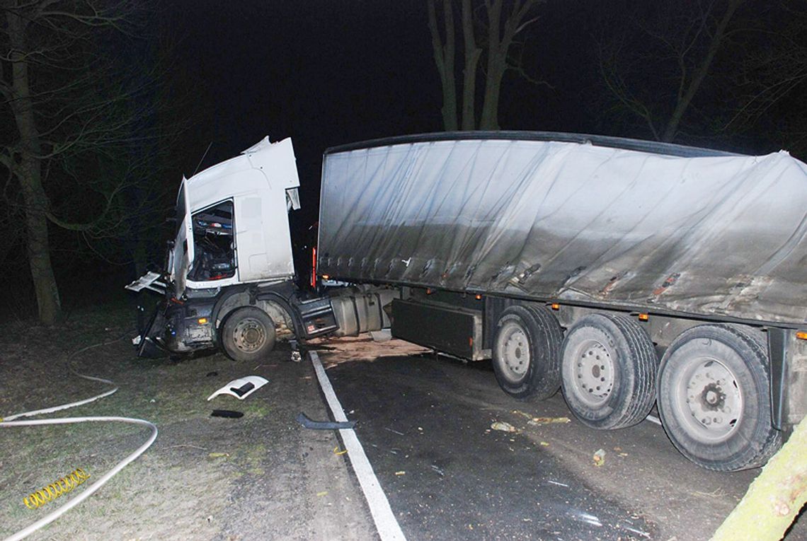 TIR ściął grubą lipę i zablokował drogę na 7 godzin TIR ściął grubą lipę i zablokował drogę na 7 godzin