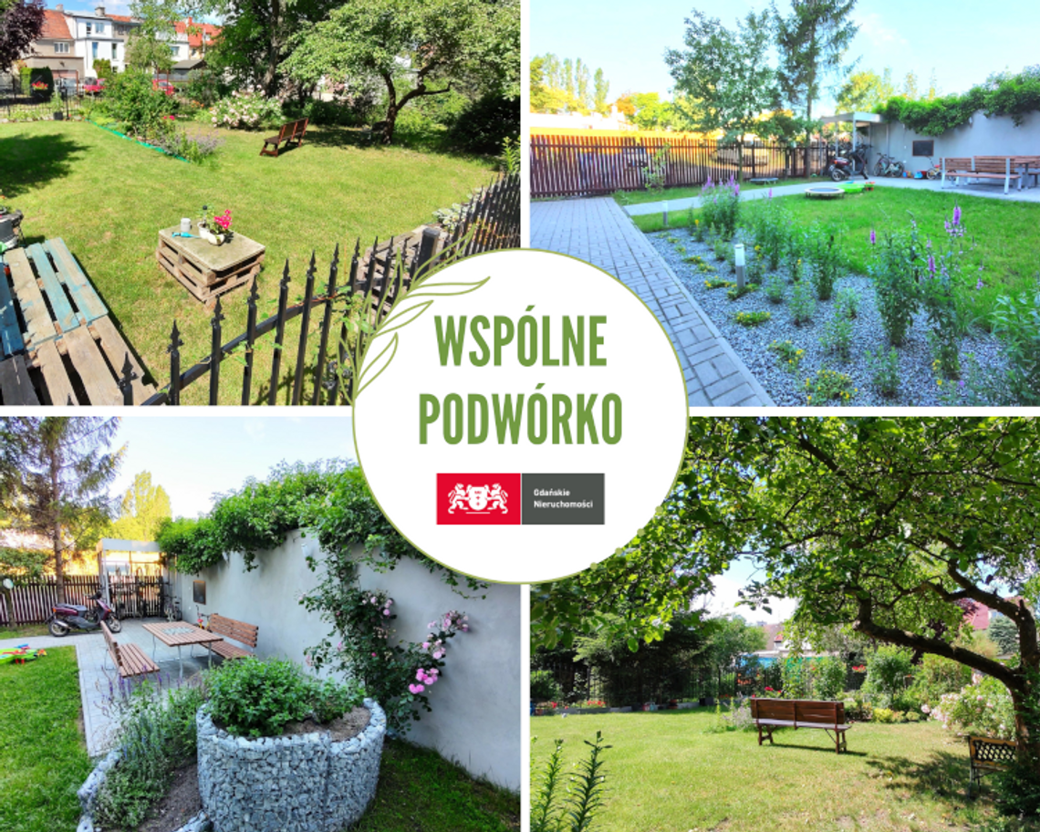 To już 9 edycja konkursu na "Wspólne Podwórko 2022" już wystartowała