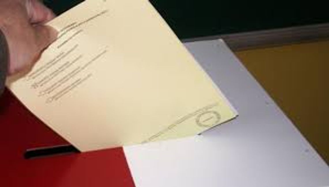 To powinieneś wiedzieć o niedzielnym głosowaniu! 