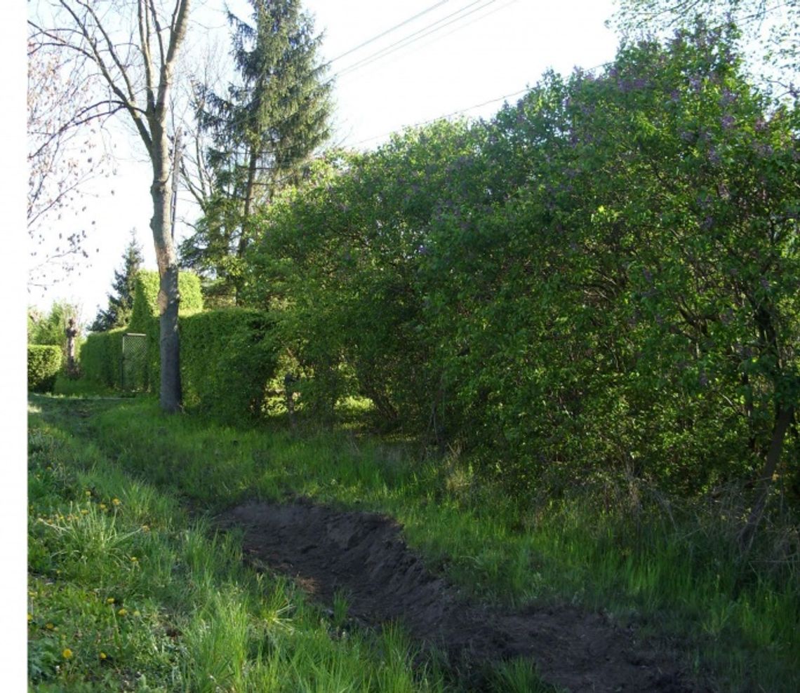 Tragedia w Laskach - dwie ofiary śmiertelne na drodze