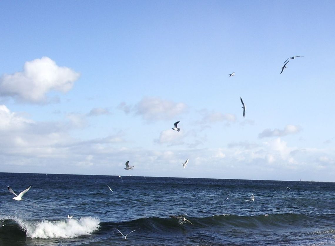 Tragiczne wakacje. Dwaj bracia utonęli w morzu - niedaleko Jantara Tragiczne wakacje. Dwaj bracia utonęli w morzu - niedaleko Jantara