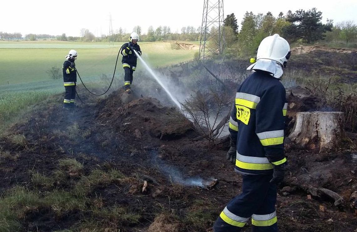 Trwa susza. Strażacy walczą z pożarami nieużytków