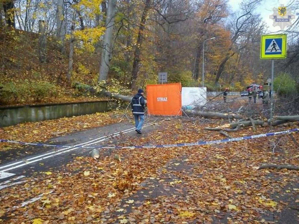 Trwa wyjaśnianie okoliczności śmierci 34-letniej kobiety Trwa wyjaśnianie okoliczności śmierci 34-letniej kobiety