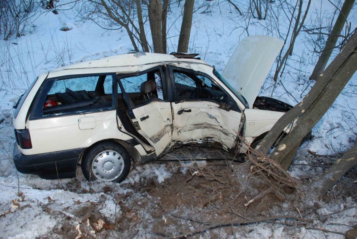 Tygodniowy kierowca. Passatem w drzewo Tygodniowy kierowca. Passatem w drzewo