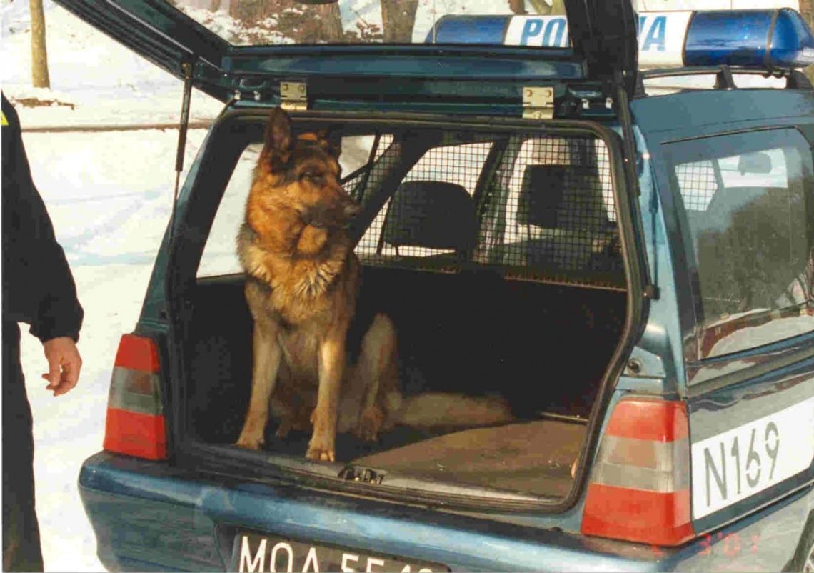 Uczennica wszczęła alarm bombowy w szkołach