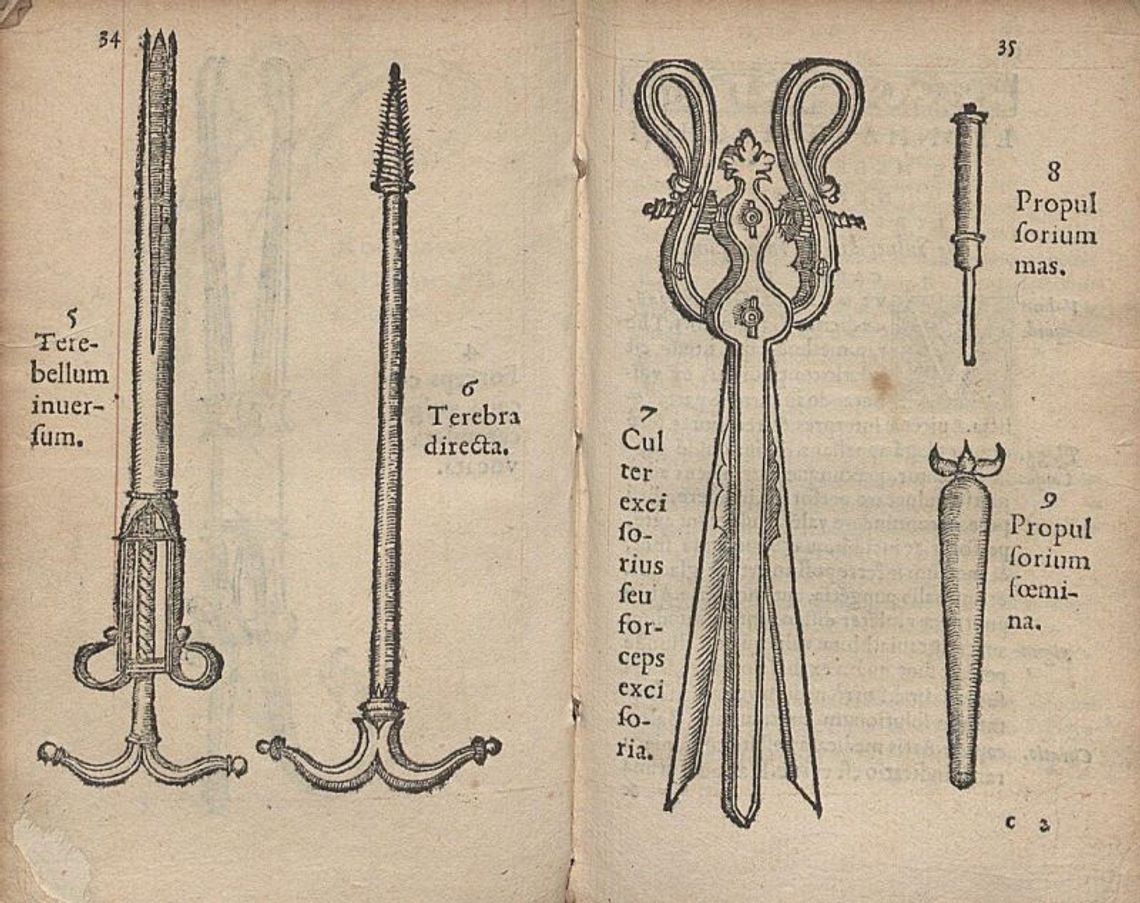 Uczniowie Hipokratesa nad Motławą