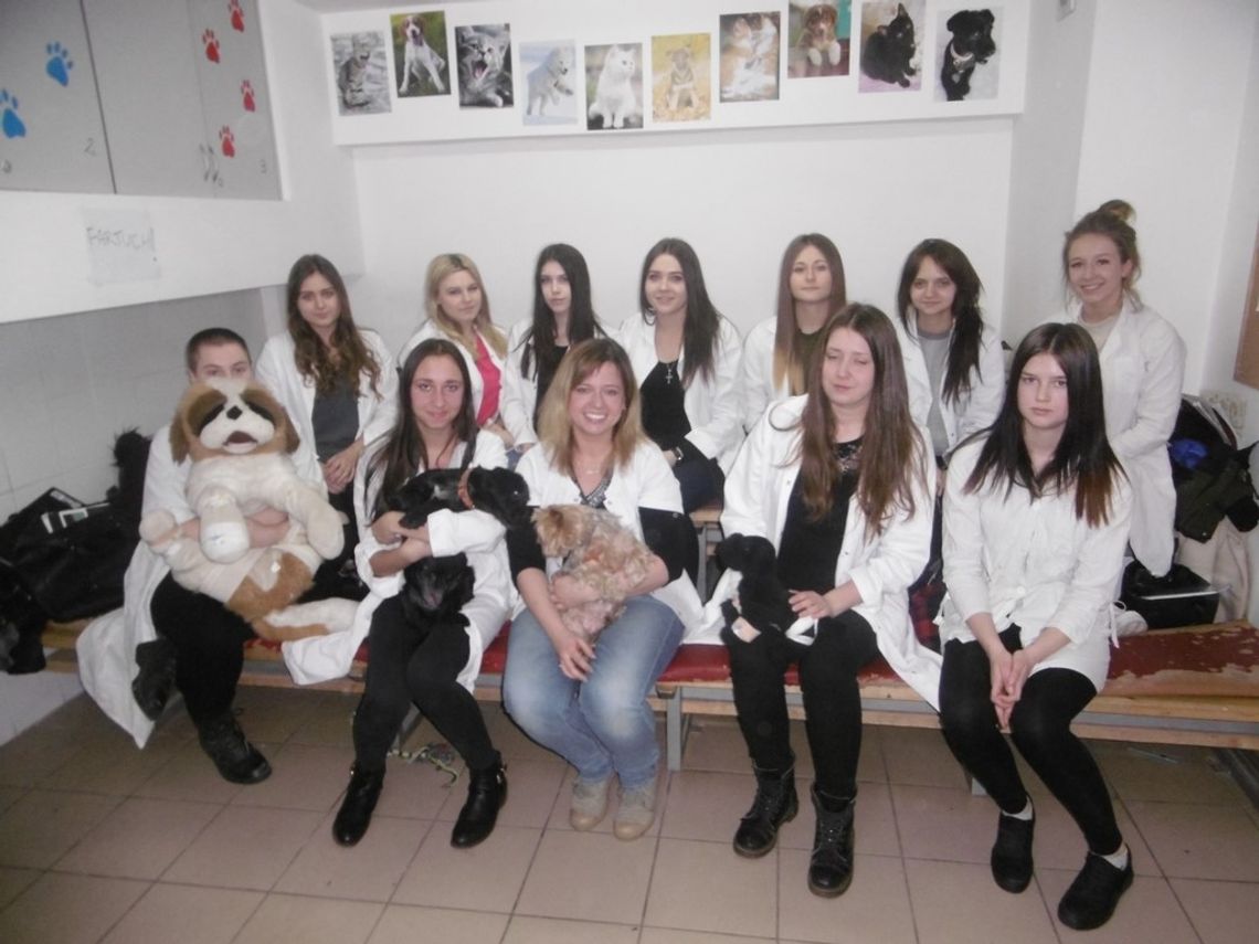 Uczniowie Technikum Weterynarii organizują akcję bezpłatnych badań dla zwierząt