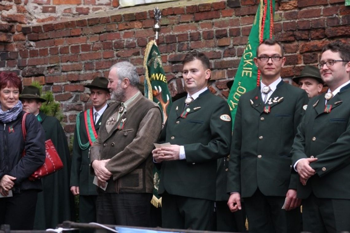 Uczymy poznawania lasu