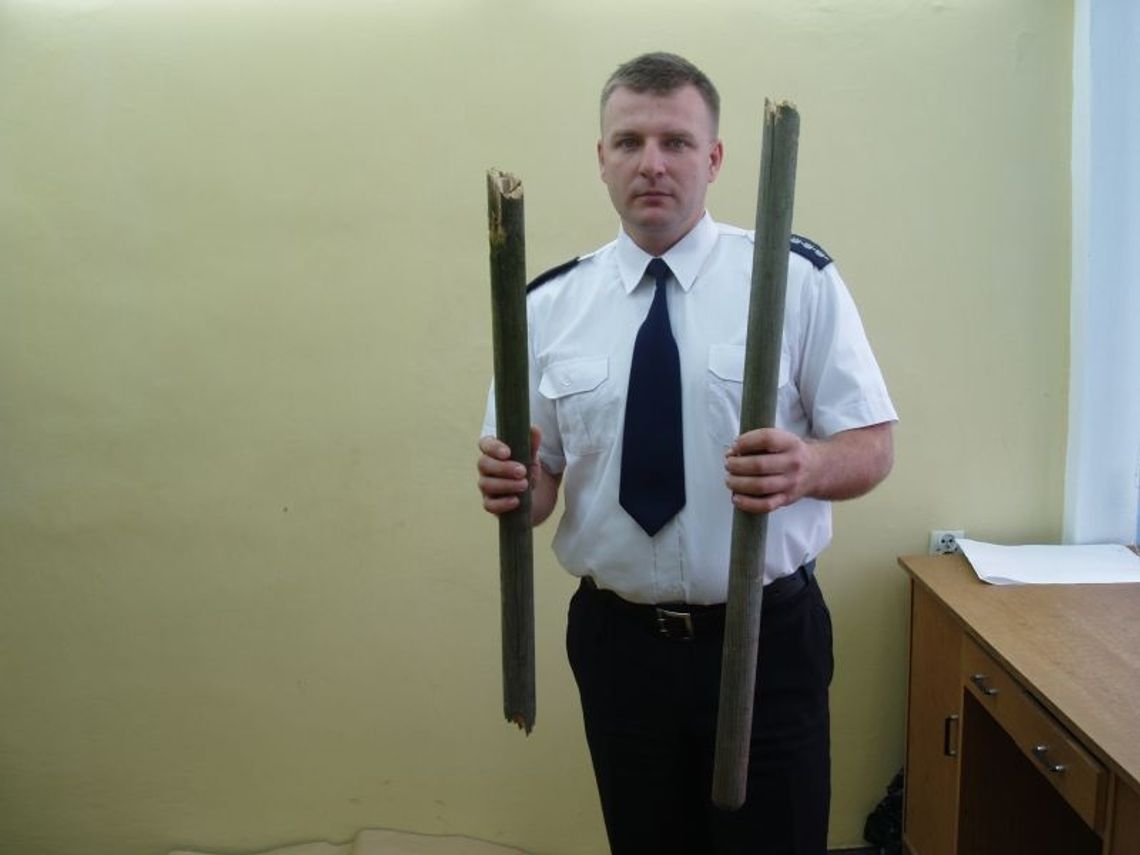 Udaremniono dziewczęcą "ustawkę" pseudokibiców Udaremniono dziewczęcą "ustawkę" pseudokibiców