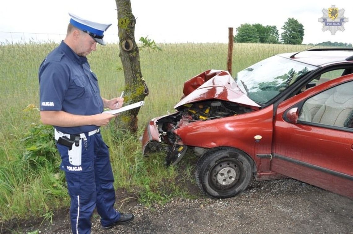 Uderzył w drzewo, uciekł i ... zasnął Uderzył w drzewo, uciekł i ... zasnął
