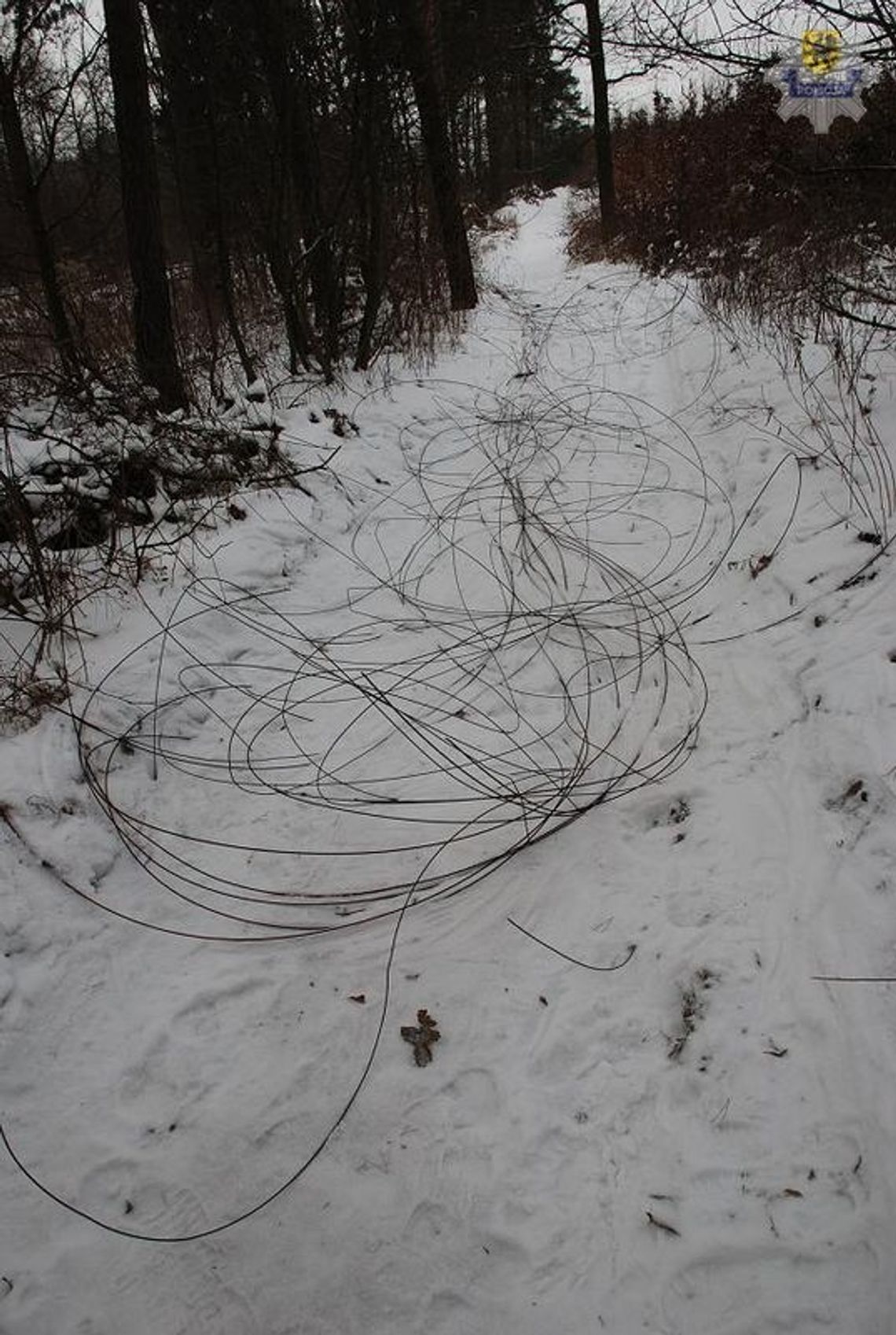 Ukradli kabel na szlaku kolejowym Ukradli kabel na szlaku kolejowym