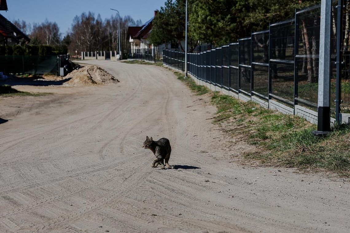 Ulica Kasztanowa będzie utwardzona Ulica Kasztanowa będzie utwardzona