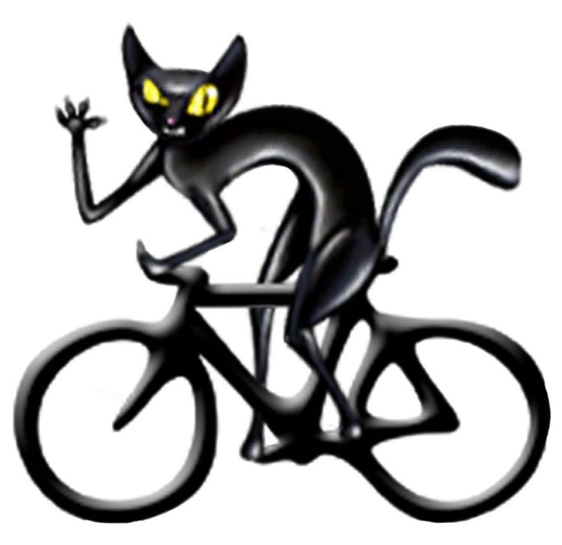 „Uliczne koty” na start!