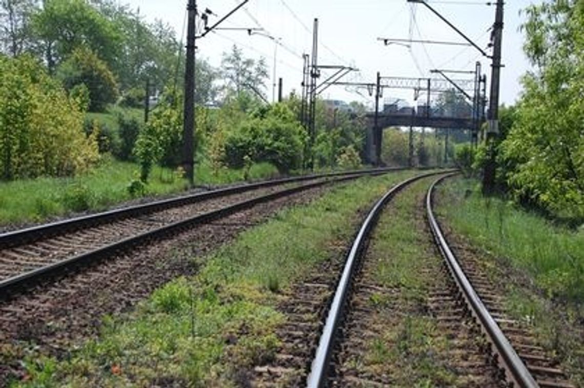 Upały opóźniają pociągi. Wyboczenia zagrażają torowiskom Upały opóźniają pociągi. Wyboczenia zagrażają torowiskom